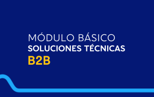 MÓDULO BÁSICO SOLUCIONES TÉCNICAS B2B